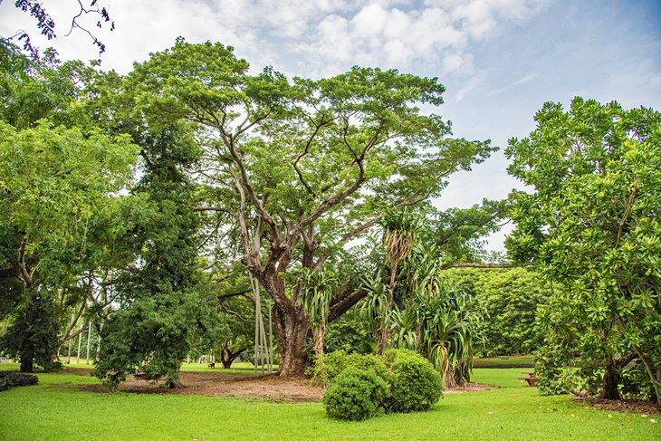 Jardines Botánicos George Brown de Darwin