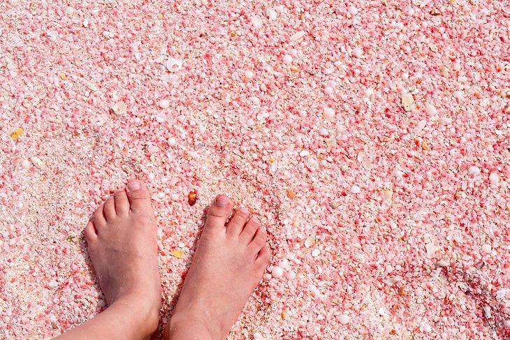 Nahaufnahme des Pink Sand Beach auf Barbuda