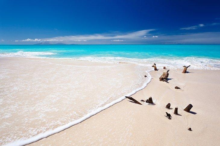 Treibholz am Ffryes Beach