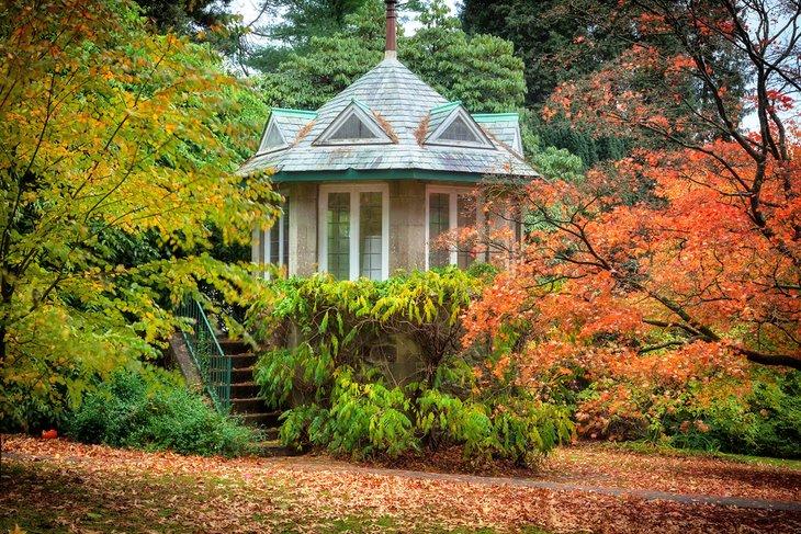 Herbst in den Clyne-Gärten, Swansea