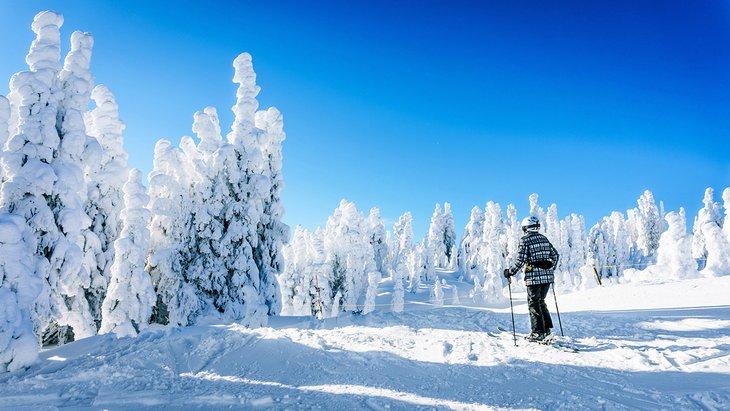 Esquiador y árboles cubiertos de nieve en Sun Peaks Resort