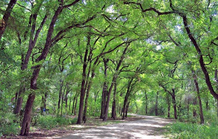Sendero en Mayfield Park