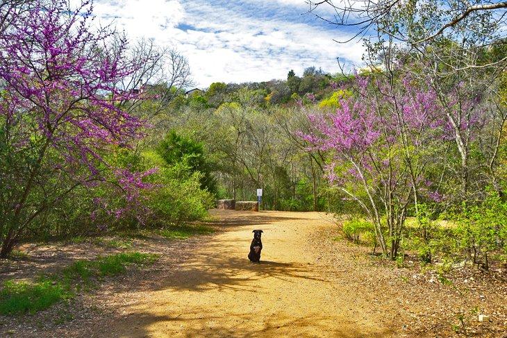 Entrada del Sendero Southern Walnut Creek