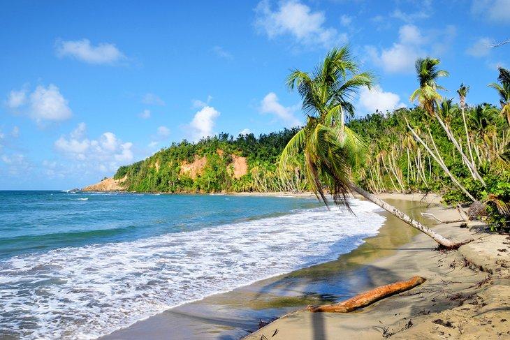 Playa Batibou