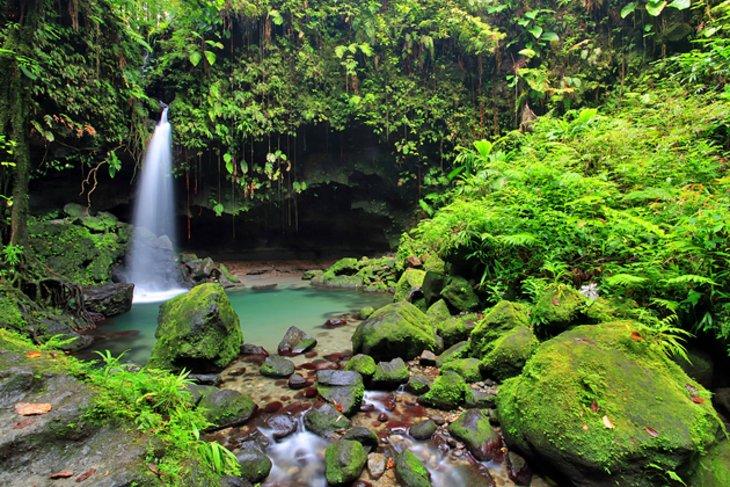 Parque Nacional Morne Trois Pitons