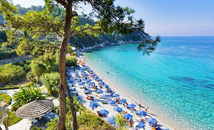 Lemonakia Strand