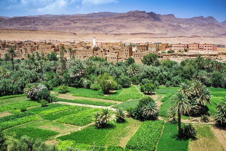 Oasis en el Valle de Dades
