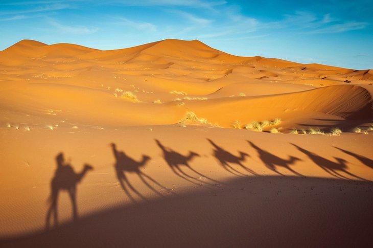 Paseo en camello en el Desierto de Merzouga