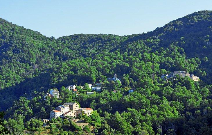 Región de Castagniccia