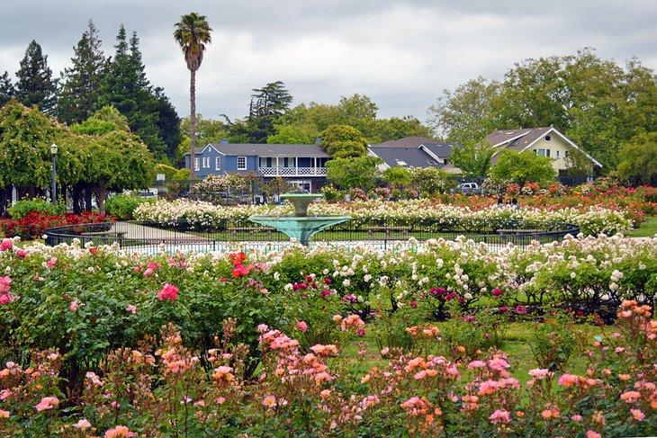 Brunnen im kommunalen Rosengarten