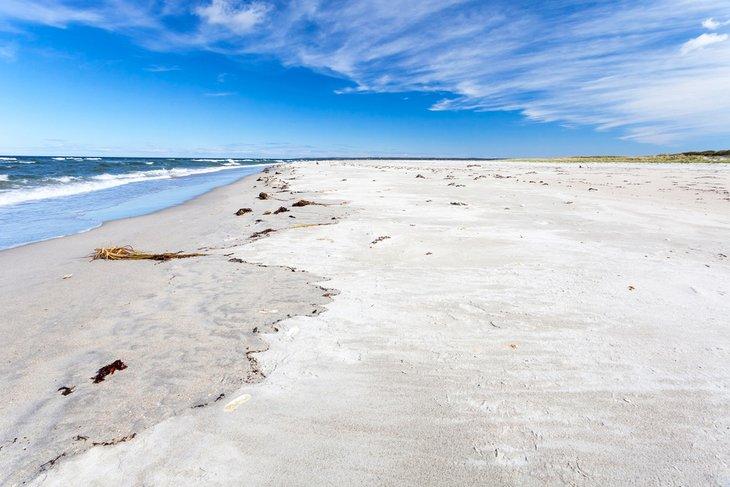 Crane Beach