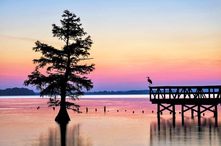 Parque Estatal Reelfoot Lake al amanecer