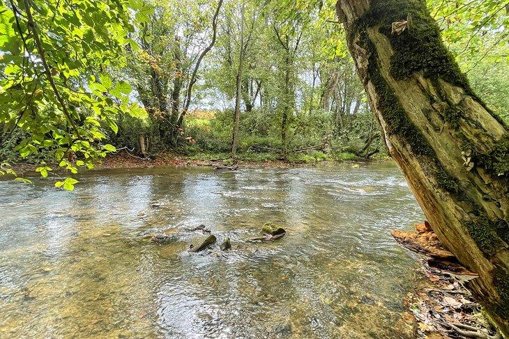 Río Nolichucky en el Parque Estatal David Crockett Birthplace