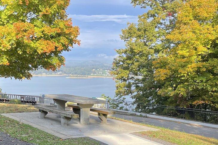 Picnic con vista al lago en Panther Creek