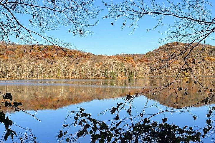 Colores de otoño en el Parque Estatal Radnor Lake