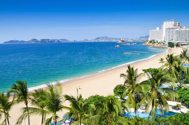 Plage bordée de palmiers à Acapulco