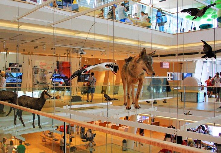 MUSE (Musée des Sciences)