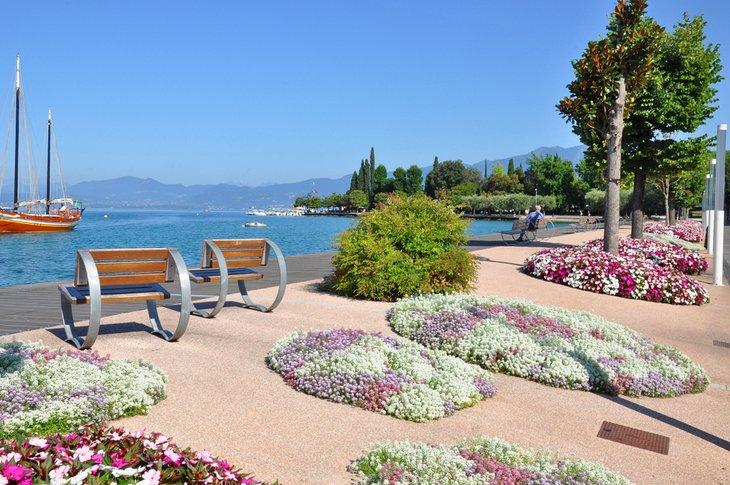 Flores floreciendo en Bardolino