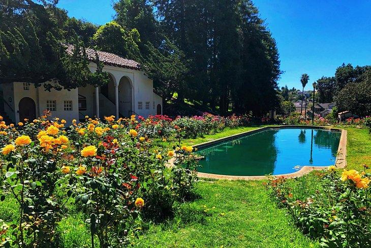 Jardín de Rosales Morcom