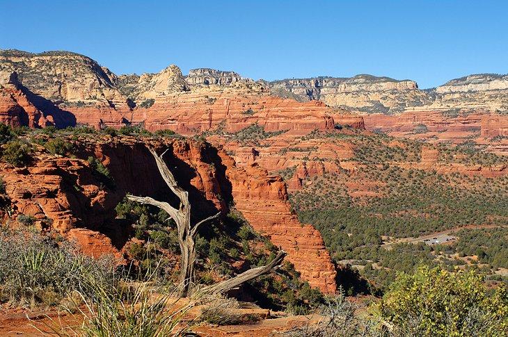 Sendero de Doe Mountain
