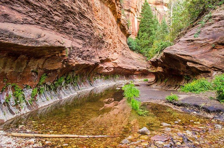 Sendero West Fork