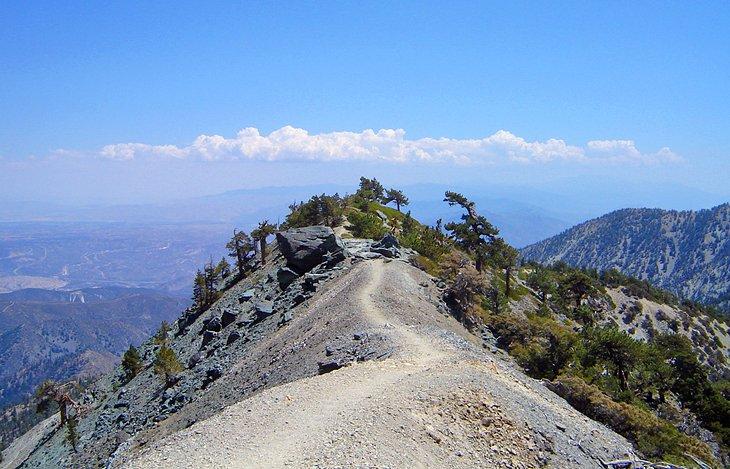 Sentier de Devil's Backbone sur le Mt. Baldy Loop