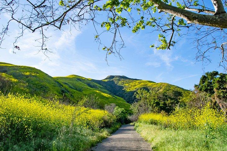 Sentier de Solstice Canyon
