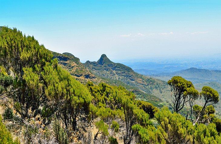 Les Aberdares