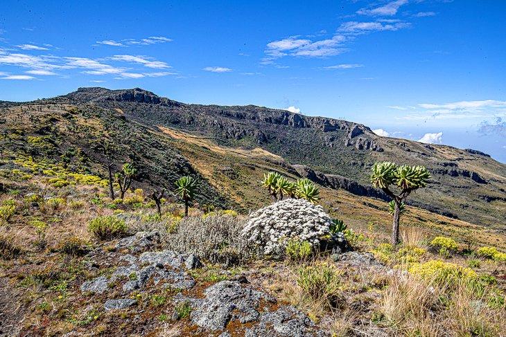 Mont Elgon