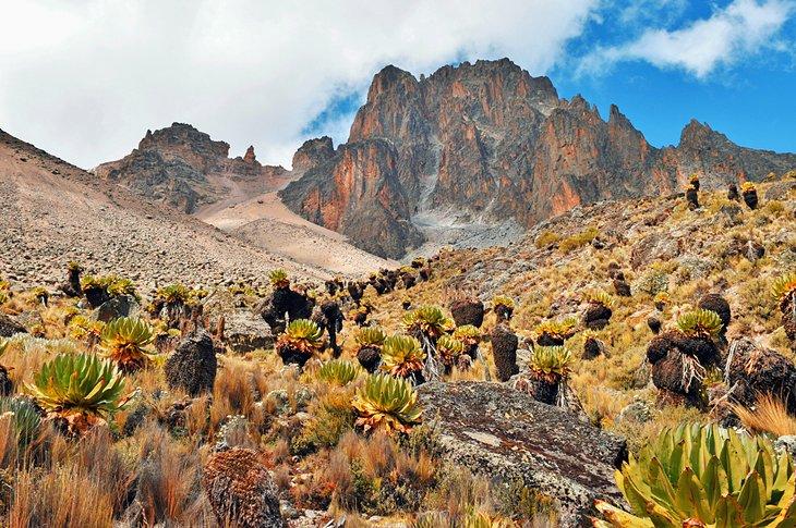 Mont Kenya