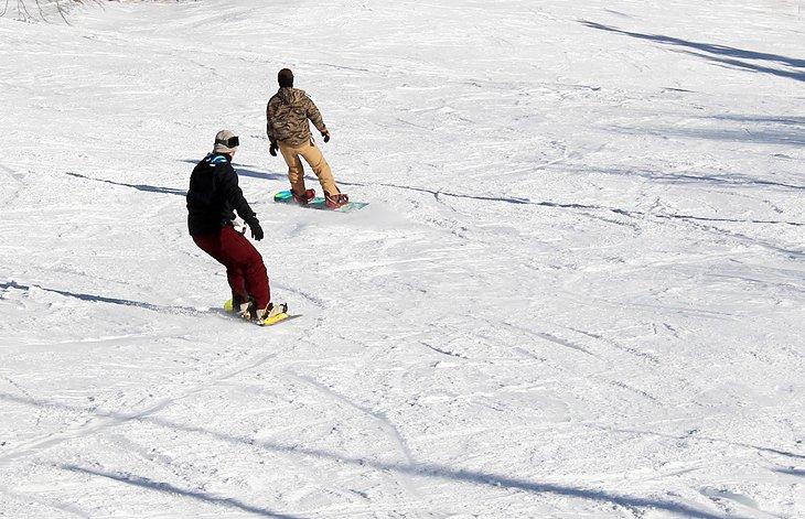 Boarders en la colina