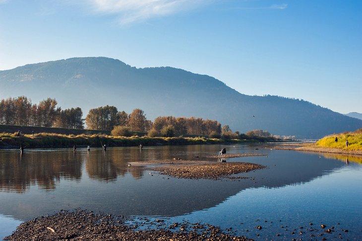 Pescador en el río Vedder