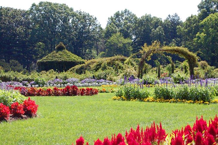 Jardin des Roses d'Elizabeth Park