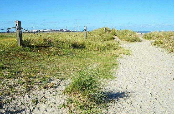 Dunas en Zeebrugge, Bélgica