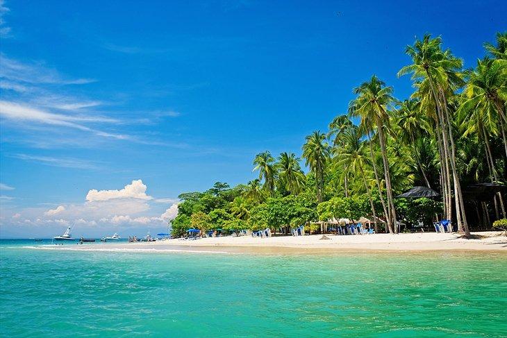 Isla Tortuga rodeada de palmeras