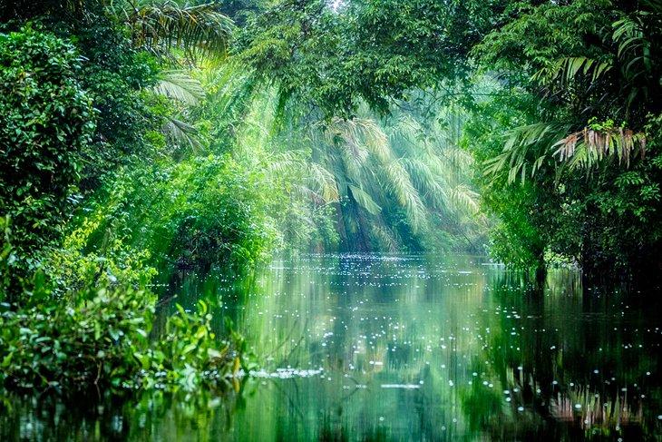 Parque Nacional Tortuguero
