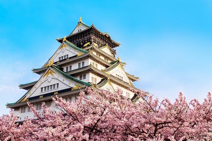 Osaka Schloss mit Sakura-Blüten