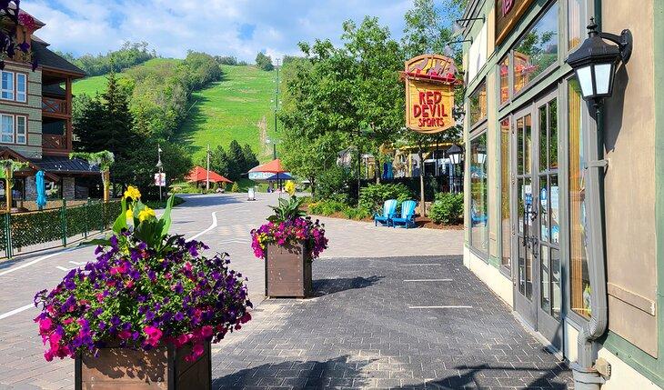 Village de Blue Mountain en été