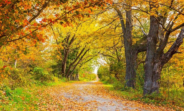 Automne dans le comté de Prince Edward