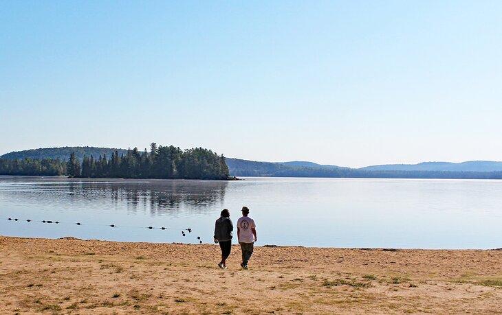 Parc provincial d'Algonquin