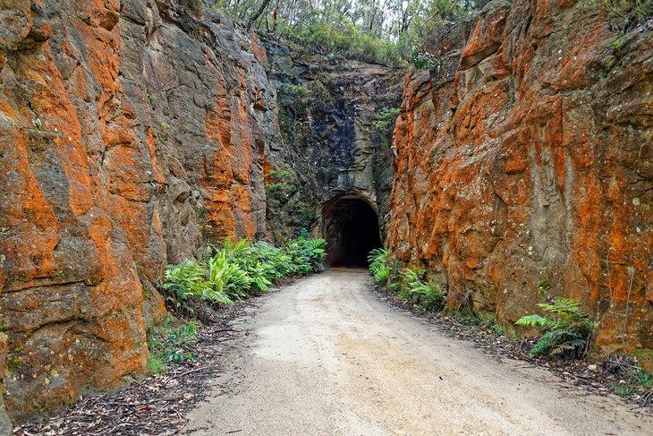 Túnel de Glow Worm, Parque Nacional Wollemi