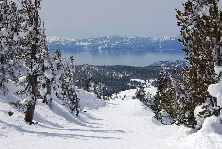 Mont Rose - Ski Tahoe