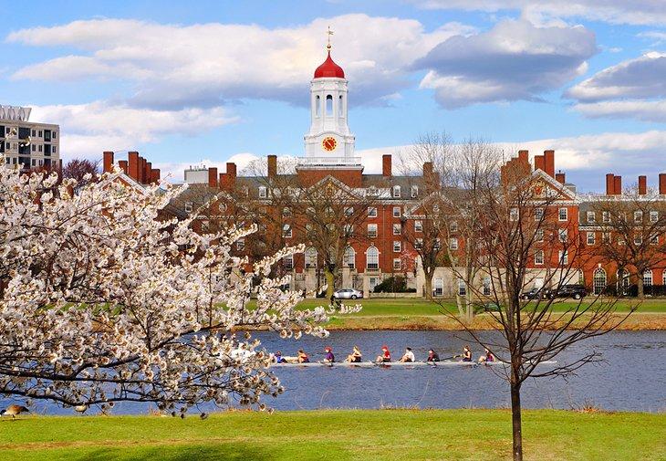 Harvard en primavera