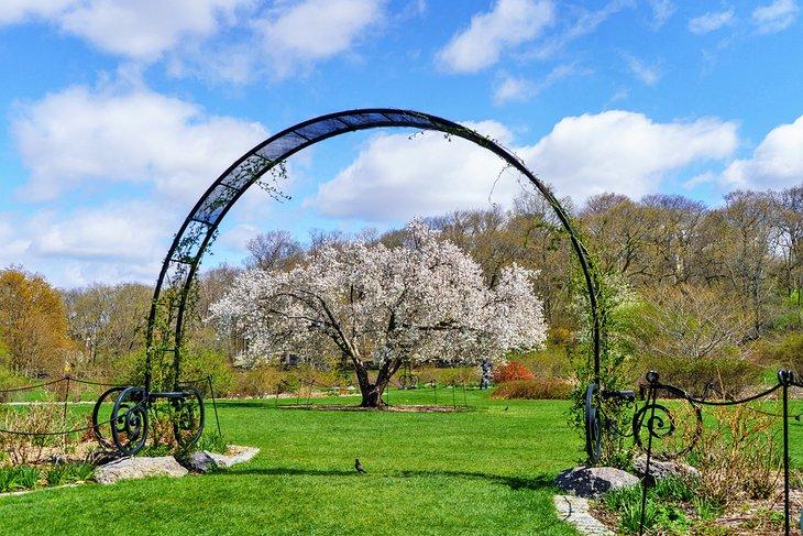 Primavera en el Arnold Arboretum