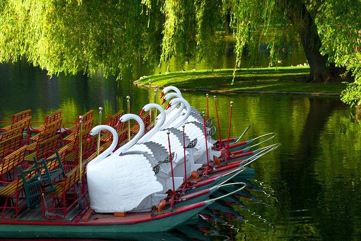 Boston Common y los botes cisne del Jardín Público