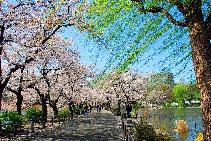 Parque Ueno y Zoológico de Ueno