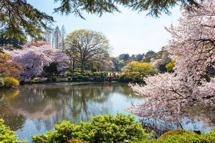 Jardín Nacional Shinjuku Gyoen
