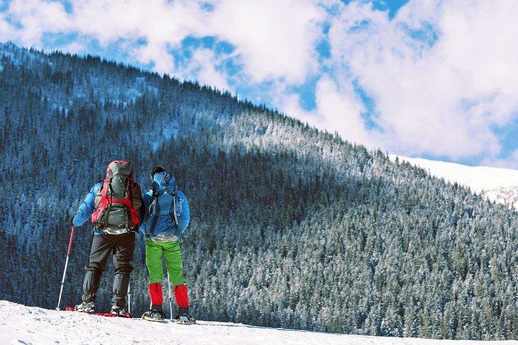 Raquettes dans le parc national de Glacier