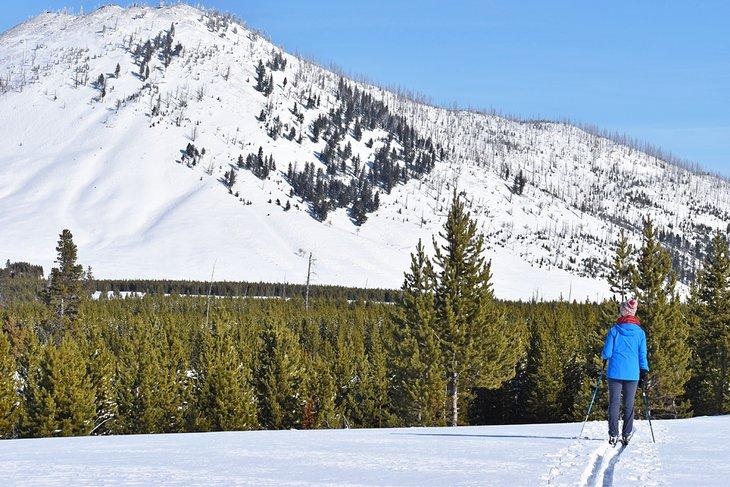 Ski de fond à Yellowstone