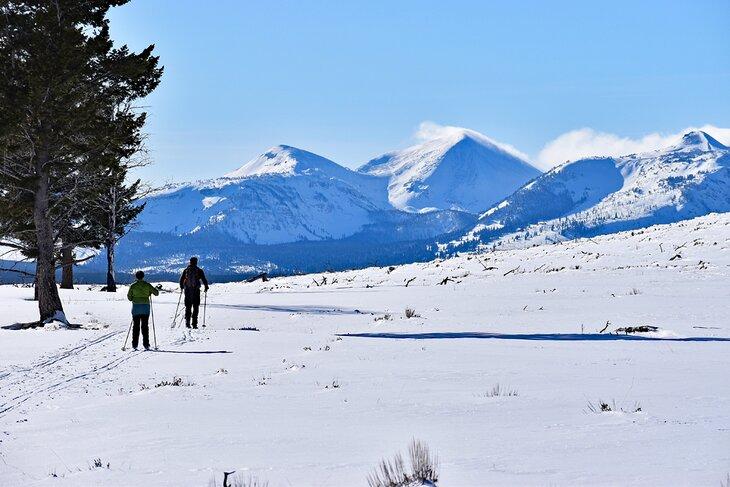 Skieurs de fond dans le parc national de Yellowstone